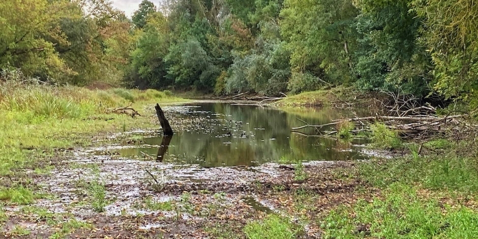 Mikulčické rameno v CHKO Soutok
