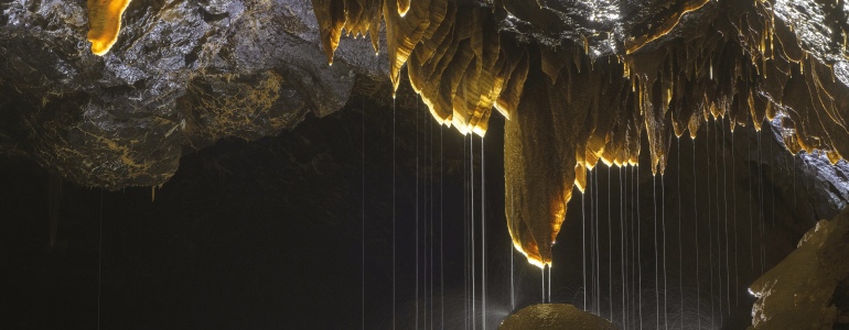 Fotografie z titulní strany časopisu Ochrana přírody