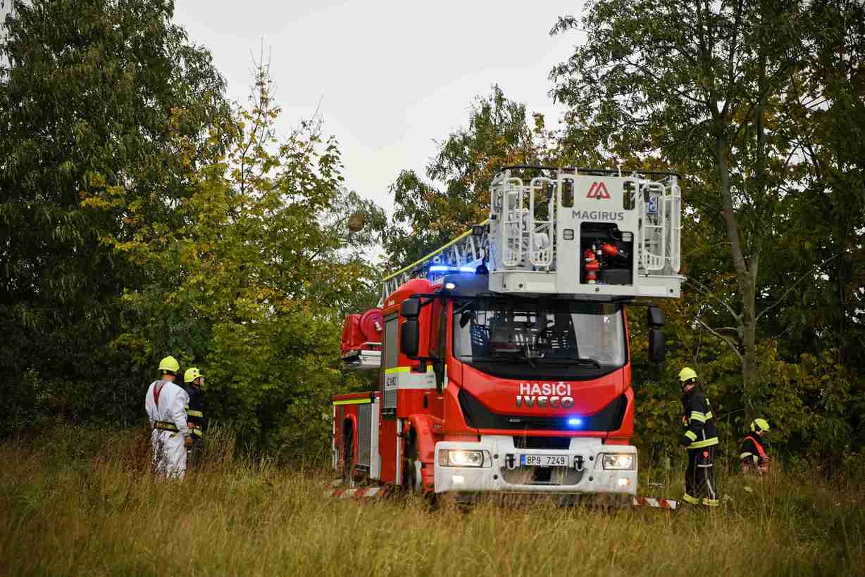 Hasiči odstraňují hnízdo sršně asijské, foto: Jan Walter