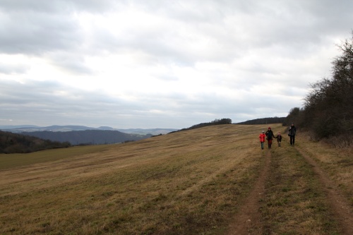 Cesta do Mořinky.