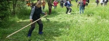 Slavnosti lužickohorských luk