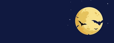 Netopýří noc