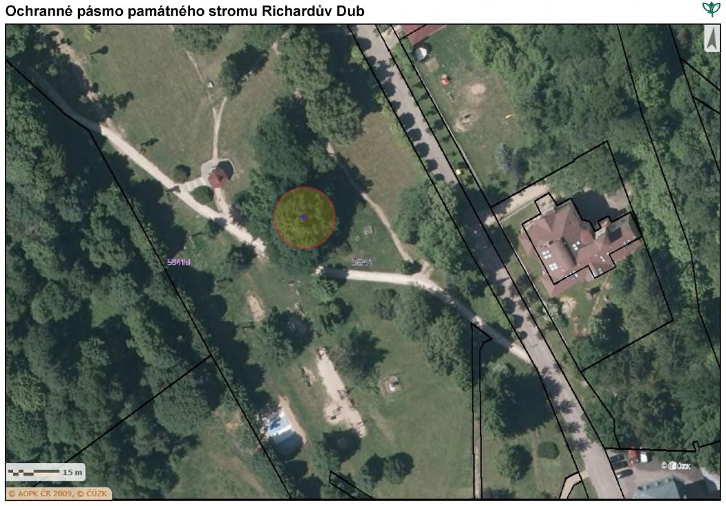 Lokace památného stromu