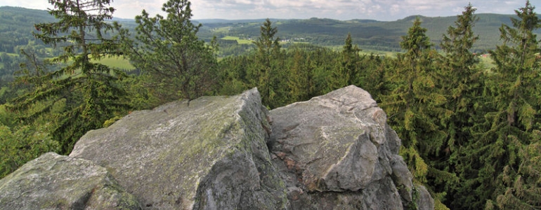 Přírodní rezervace Čtyři palice v CHKO Žďárské vrchy